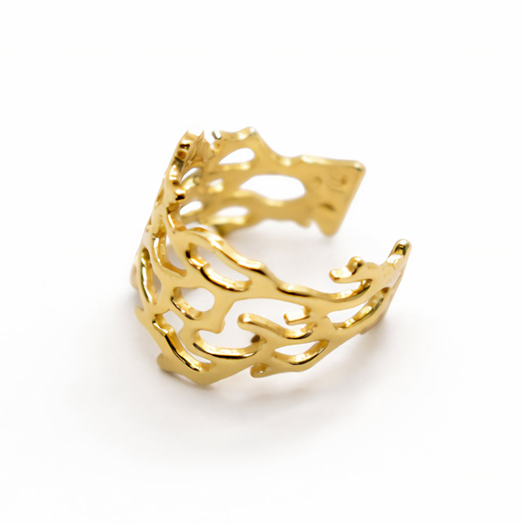 The Coral Reef Ring