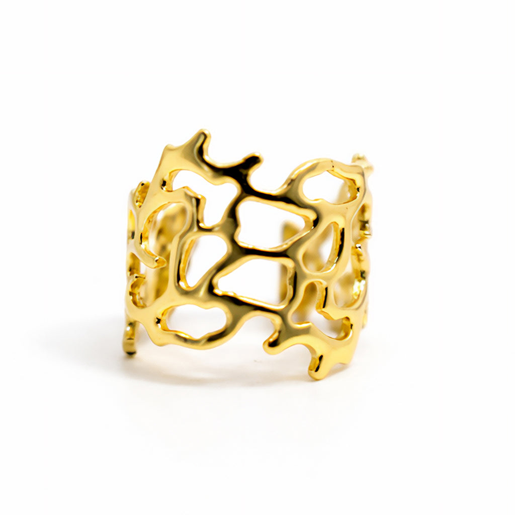 The Coral Reef Ring